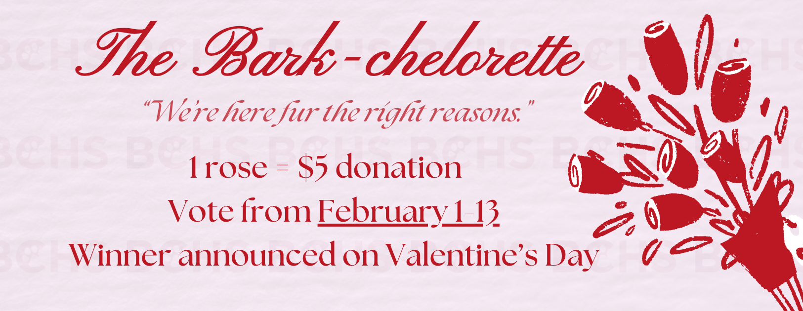 The Bark-chelorette '26